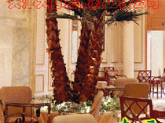 餐厅棕榈树