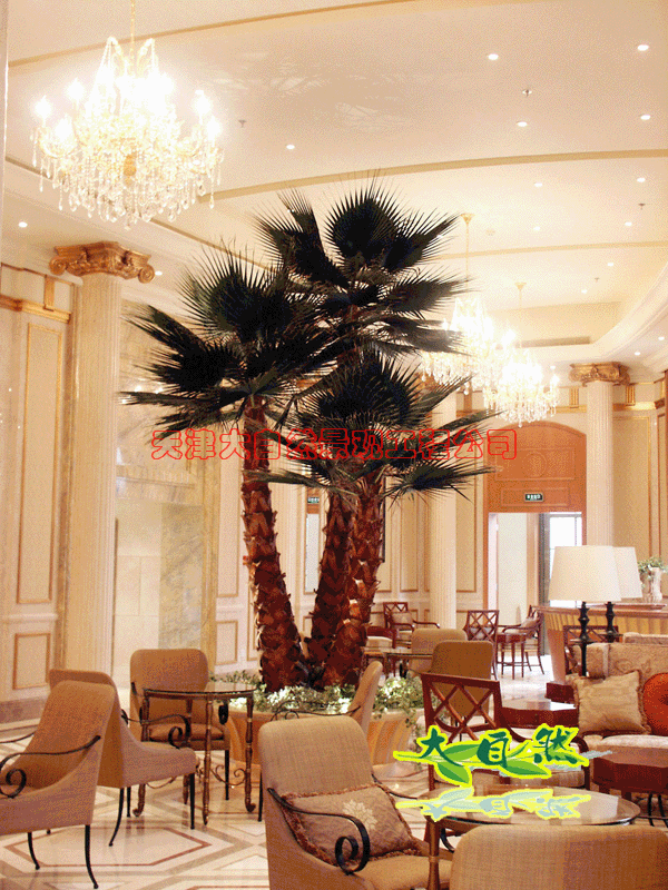 酒店室内保鲜棕榈树